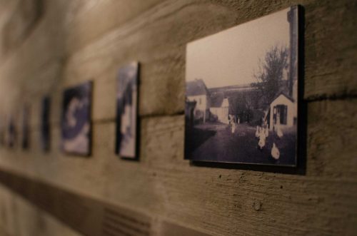 Lidice - PED - 2025 (5)