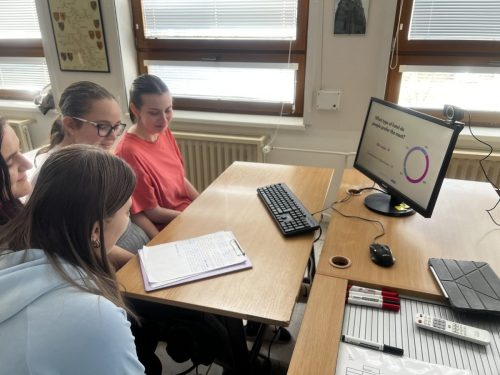 Online meeting 4