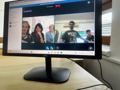 Online meeting 5
