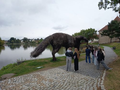 Výstava Skála 26 (2)
