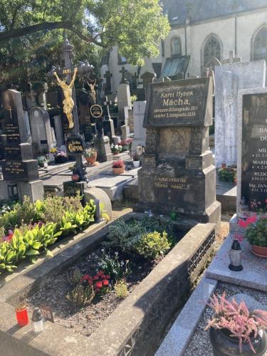 Za Banditou i památkami (16)